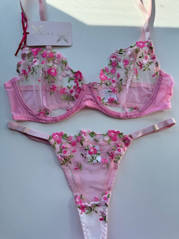 California Garden Rosa