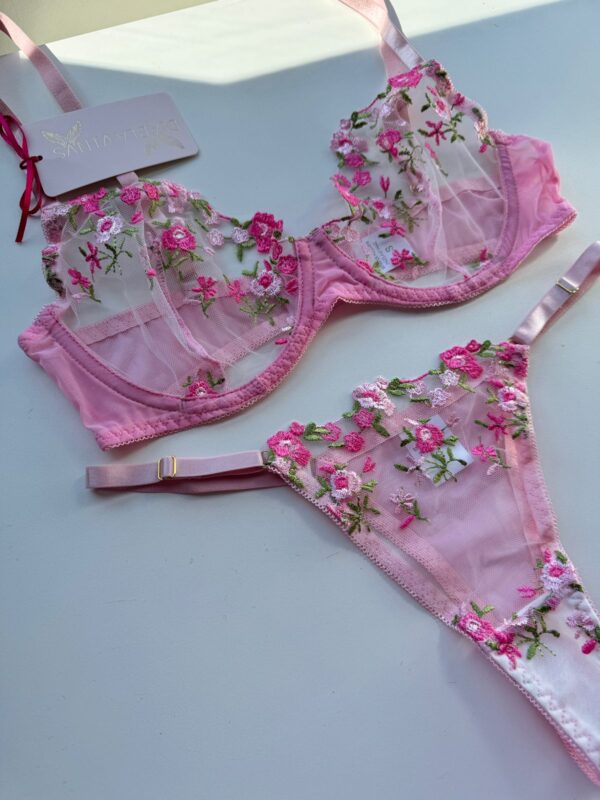 California Garden Rosa