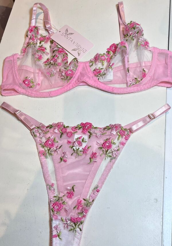 California Garden Rosa