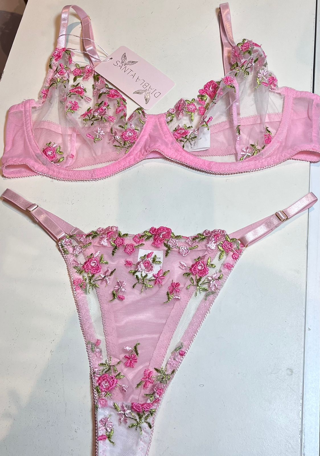 California Garden Rosa