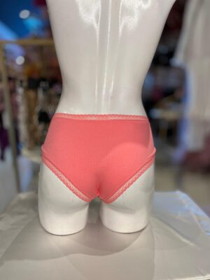 WhatsApp Image 2026-03-20 at 17.03.02